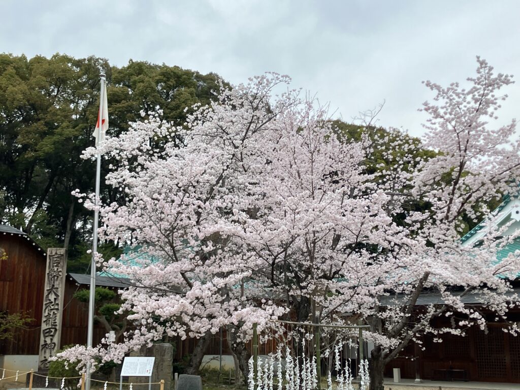 「野村ヘルパーになったってよ。いったん完結」